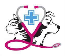 Horario de apertura Clínica Veterinària Flix Vet Dream, 