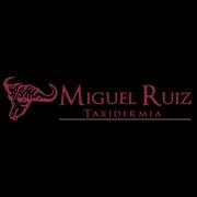 Horario de apertura Taxidermia Miguel Ruiz, Talavera de la Reina