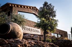 Horario de apertura Celler Castelo de Pedregosa, Sant Sadurni d'Anoia