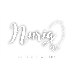 Horario de apertura Nuria Mj estilista canino, Ingenio