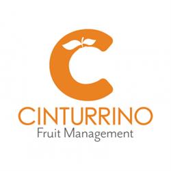 Horario de apertura Cinturrino Fruit Management S.L., Barcelona