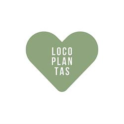 Horario de apertura Locoplantas, Manises