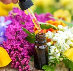 Horario de apertura EM Masajes Estepona & Massage at home, 