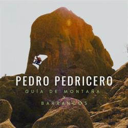 Horario de apertura Pedro Pedricero Guía, Madrid