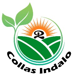 Horario de apertura Collas Indalo, El Ejido