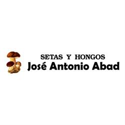 Horario de apertura DELICIAS DEL BOSQUE, Burgos
