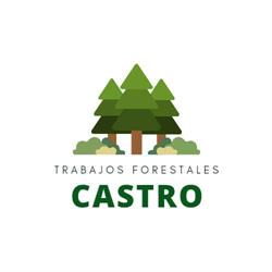Horario de apertura Trabajos Forestales Castro, Santa Comba