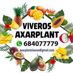 Horario de apertura Viveros Axarplant s.l., Cajiz