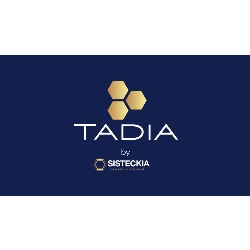 TADIA by SisteckIA - Tu Agencia de IA en Madrid (Tetuán) - Horario de apertura