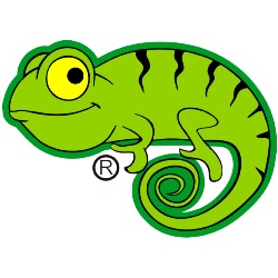 Horario de apertura LIZARD THE BRAND, Málaga