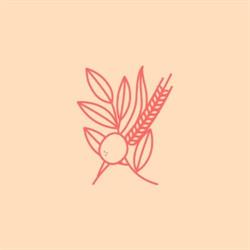 Horario de apertura Guava Bakery - Cafetería artesanal. Tartas online y en tienda, Valencia