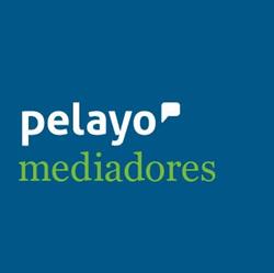 Horario de apertura Oficina Seguros Pelayo, Palma del Río