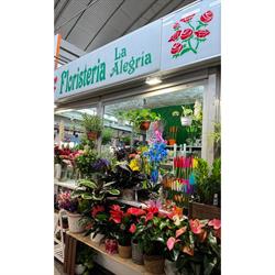 Horario de apertura Floristería La Alegría, Las Palmas de Gran Canaria