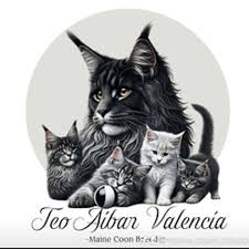 Horario de apertura TeoAibarValencia Criador Maine Coon, 