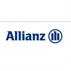 Horario de apertura Agente de Seguros Allianz - Dulce Rubio Seguros & Inversiones, Peligros