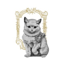 Horario de apertura La Gata Breva, Pamplona
