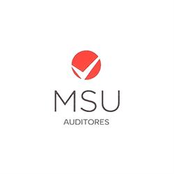 Horario de apertura Msu auditores SLP, Valencia