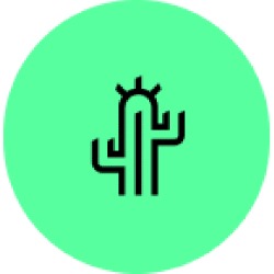 Horario de apertura Cactus Seny Gràfic – diseño gráfico y desarrollo web, Sabadell