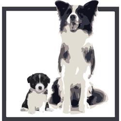 Horario de apertura Border Collie Los Almendrillos, Las Cabezas de San Juan