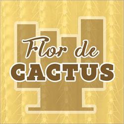 Horario de apertura Artesanias Flor de Cactus, Puerto de la Cruz