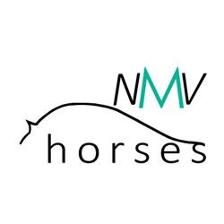 Horario de apertura NMV Horses Escuela de Equitación, Galapagar