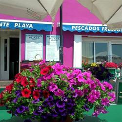 Horario de apertura Bar Playa, El Cabo de Gata
