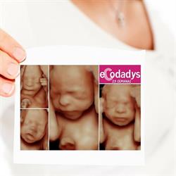 Horario de apertura eCodadys 5D Jerez, Jerez de la Frontera