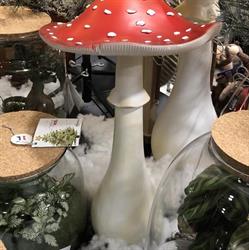 Horario de apertura Floristeria Bolboreta, Vilanova de Arousa