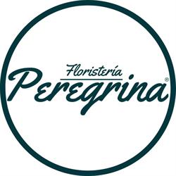 Horario de apertura Floristería Peregrina, Pontevedra