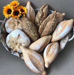 Horario de apertura Panadería Dos Hermanas, Los Sauces