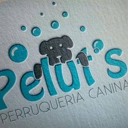 Horario de apertura Pelut's Perruqueria Canina I Felina, Alginet