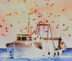 Horario de apertura Pescaderia el trompo, Algarrobo