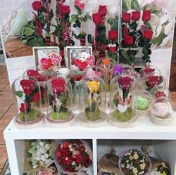 Horario de apertura Floristería Hanami, Logroño