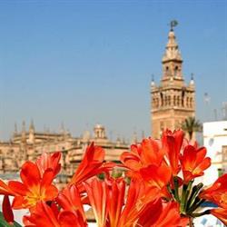 Horario de apertura Sevilla Hotels Collection, 