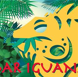 Horario de apertura BAR Iguana, Sant Boi de Llobregat
