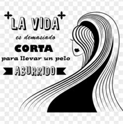 Horario de apertura Peluqueria Krys Style, Terrassa