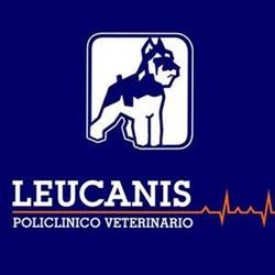Horario de apertura Clínica Veterinaria Leucanis, Sant Vicent Del Raspeig