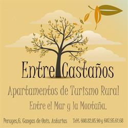 Horario de apertura Casas Rurales Entrecastaños, Cangas de Onís