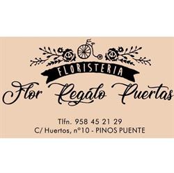 Horario de apertura Floristeria Flor Regalo Puertas, Pinos Puente
