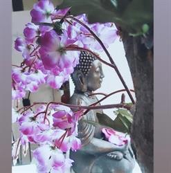Horario de apertura Namasté BeautySpa, Vega de Espinareda