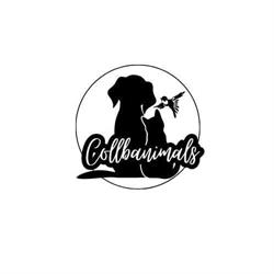 Horario de apertura Collbanimals peluquería canina, Collbató