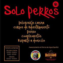 Horario de apertura Solo Perros ponteareas, Ponteareas