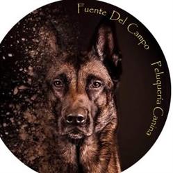 Horario de apertura Fuente del Campo - Peluquería Canina, Moratalla