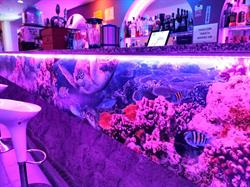 Tropical Drink & Music en Granada (Ronda) - Horario de apertura