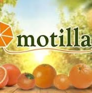 Horario de apertura Juan Motilla S.L, Carcaixent