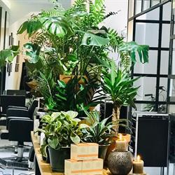 Ara Crinis Peluqueria en Madrid (Centro) - Horario de apertura
