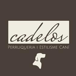 Horario de apertura CADELOS Perruqueria i Estilisme Caní, Arenys de Mar