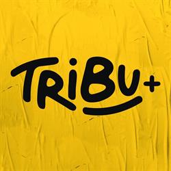 TRIBU bcn en Barcelona (Ciutat Vella) - Horario de apertura
