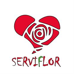 Horario de apertura Floristería Serviflor, Castellón de la Plana