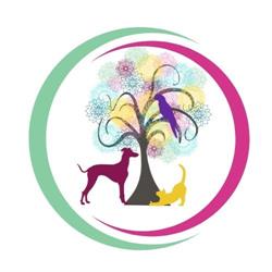 Horario de apertura Clínica Veterinaria Huellas, Pinto